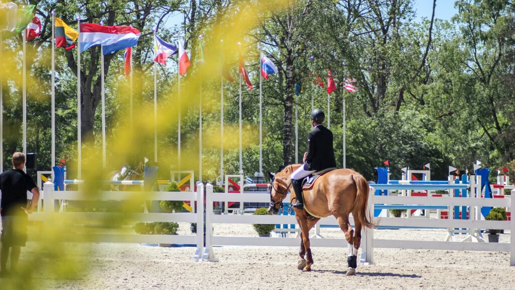 woman in black jacket riding brown horse during daytime
