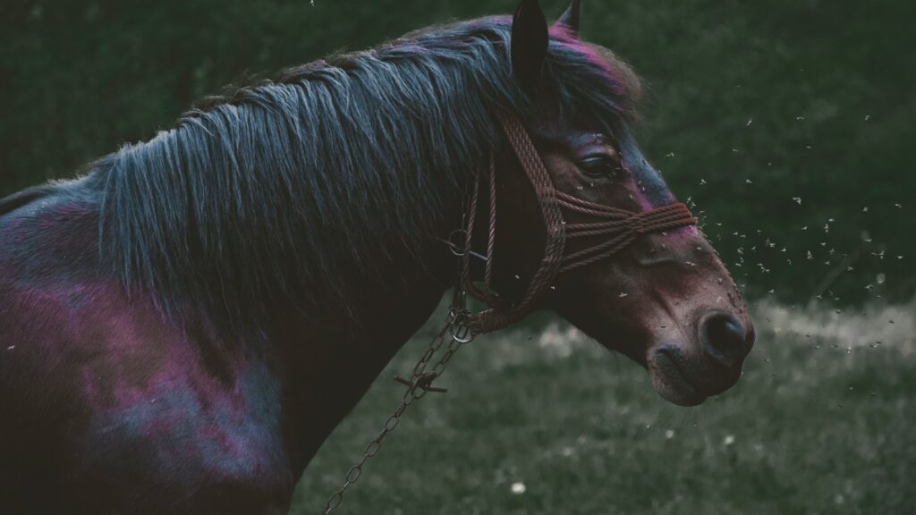 a horse with a saddle