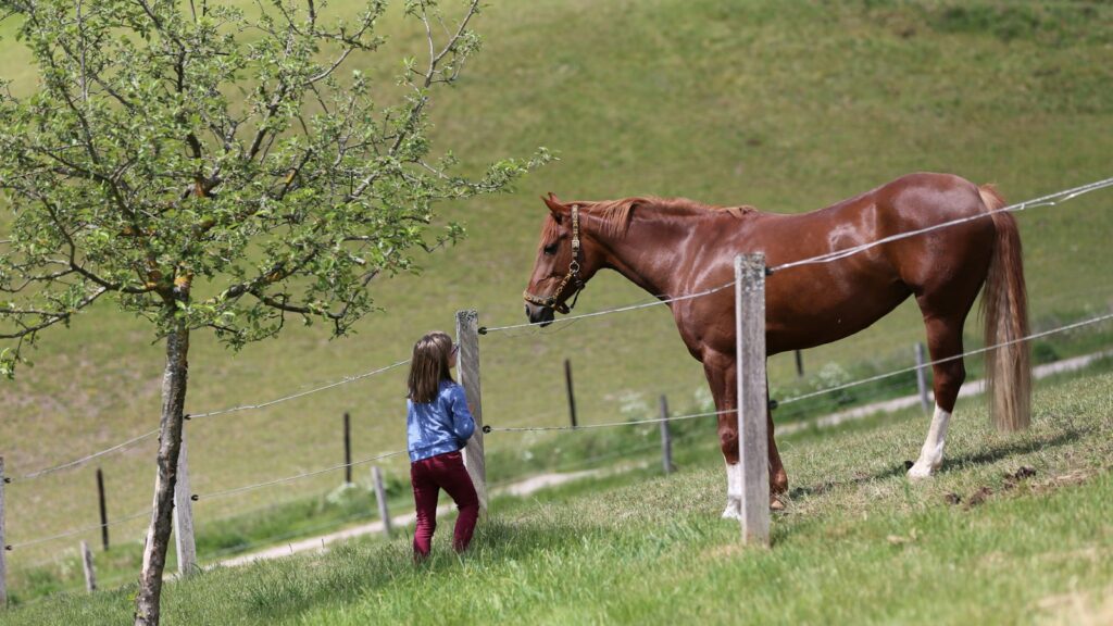 girl in blue jacket standing beside brown horse during daytime