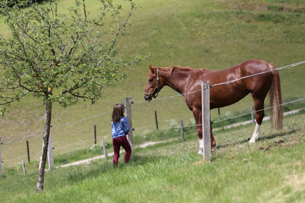 Girl in blue jacket standing beside brown horse during daytime