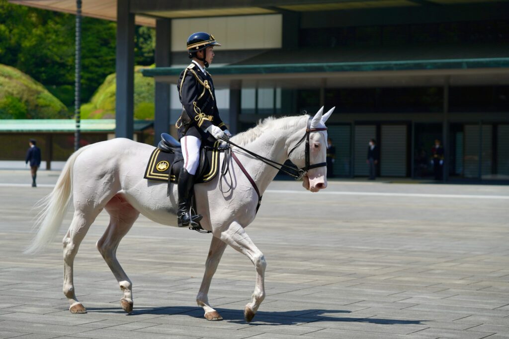 A person rides a white horse outdoors.