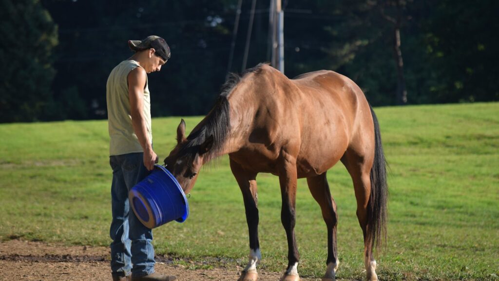 a person with a bucket and a horse