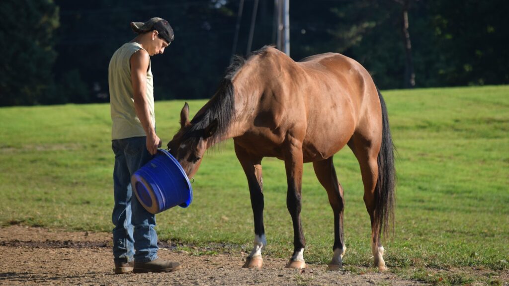 a person with a bucket and a horse