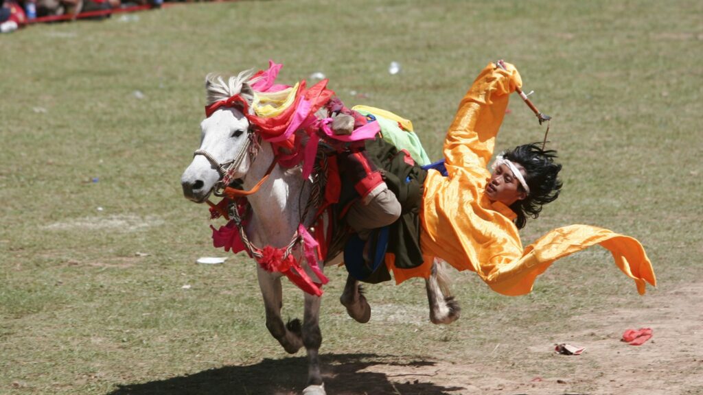 person riding white horse
