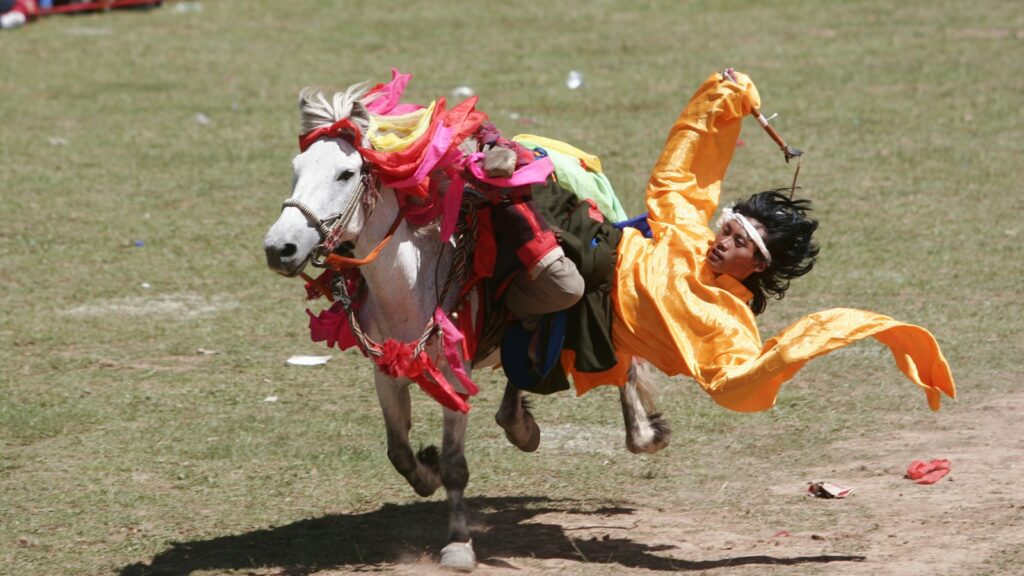 person riding white horse