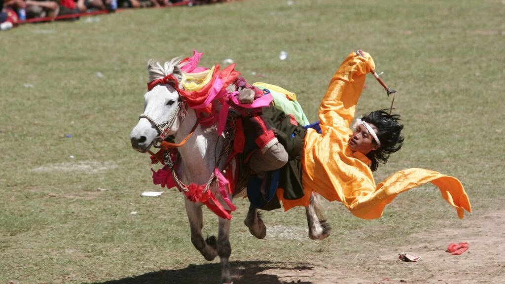 person riding white horse