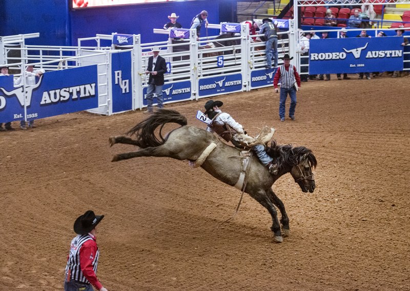 Bronc riding at Rodeo Austin