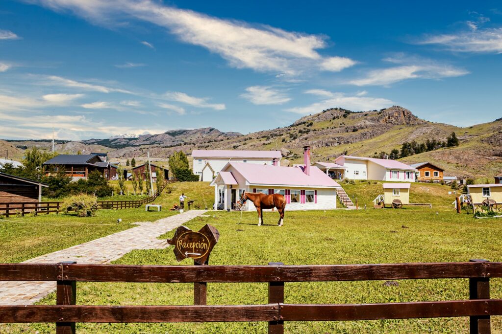 A brown horse standing on top of a lush green field