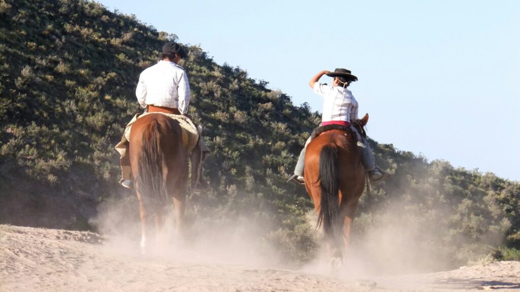 two man riding horses