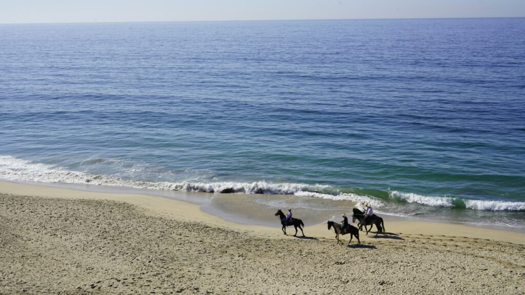 a group of people riding horses on top of a sandy beach