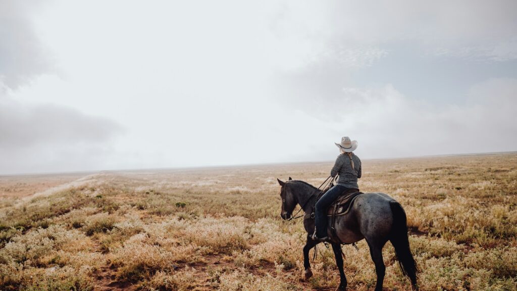 a person riding a horse in a field