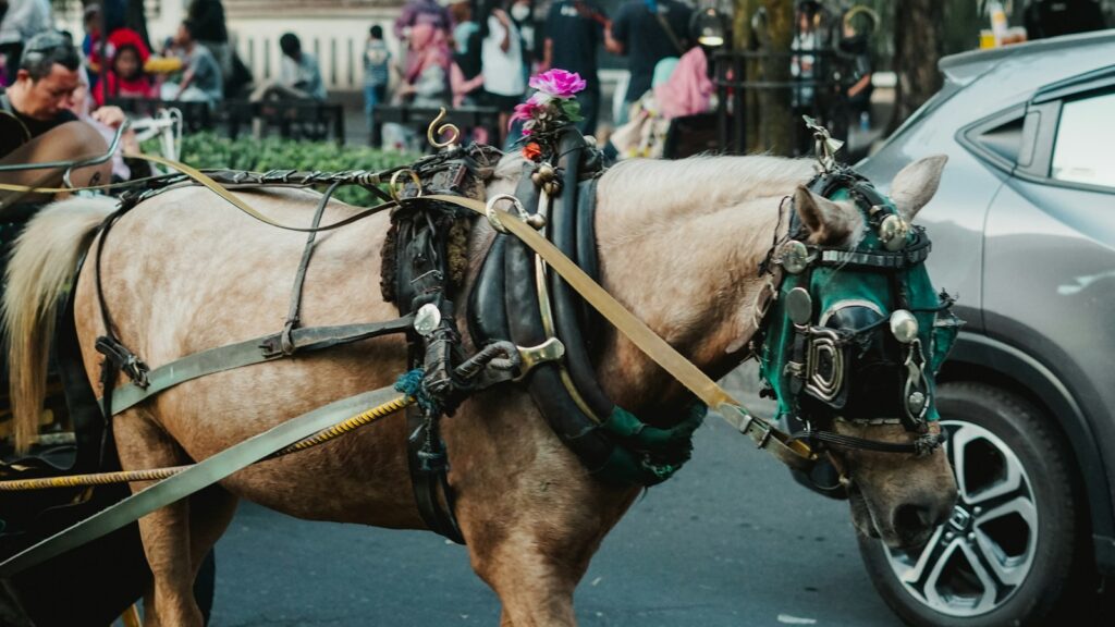 a brown horse pulling a carriage down a street