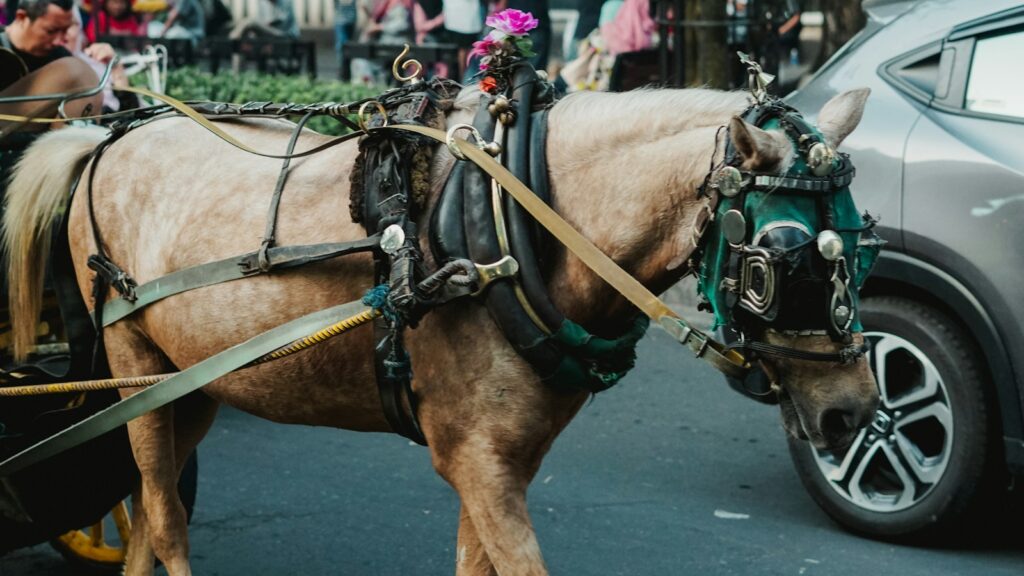 a brown horse pulling a carriage down a street