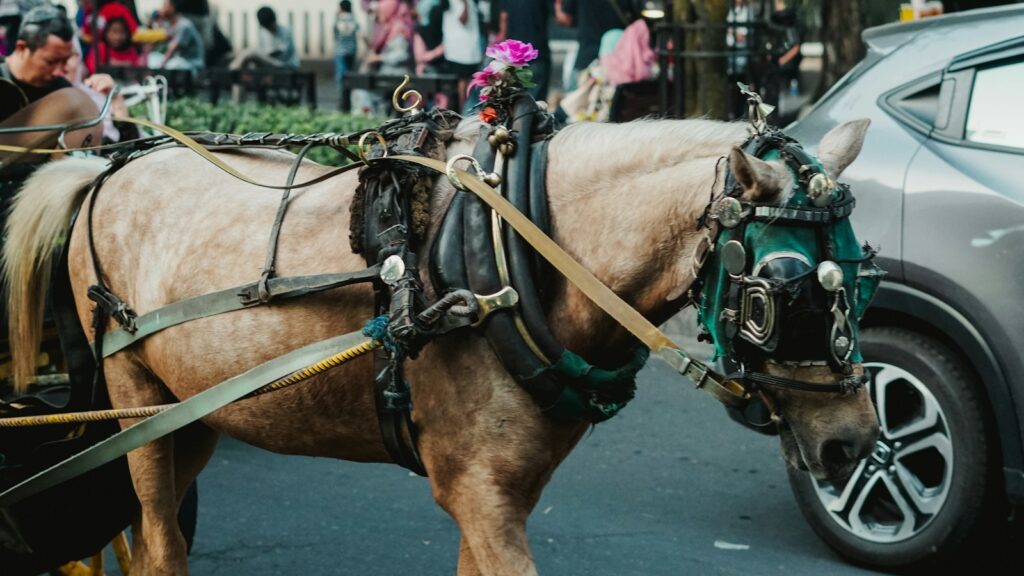 a brown horse pulling a carriage down a street