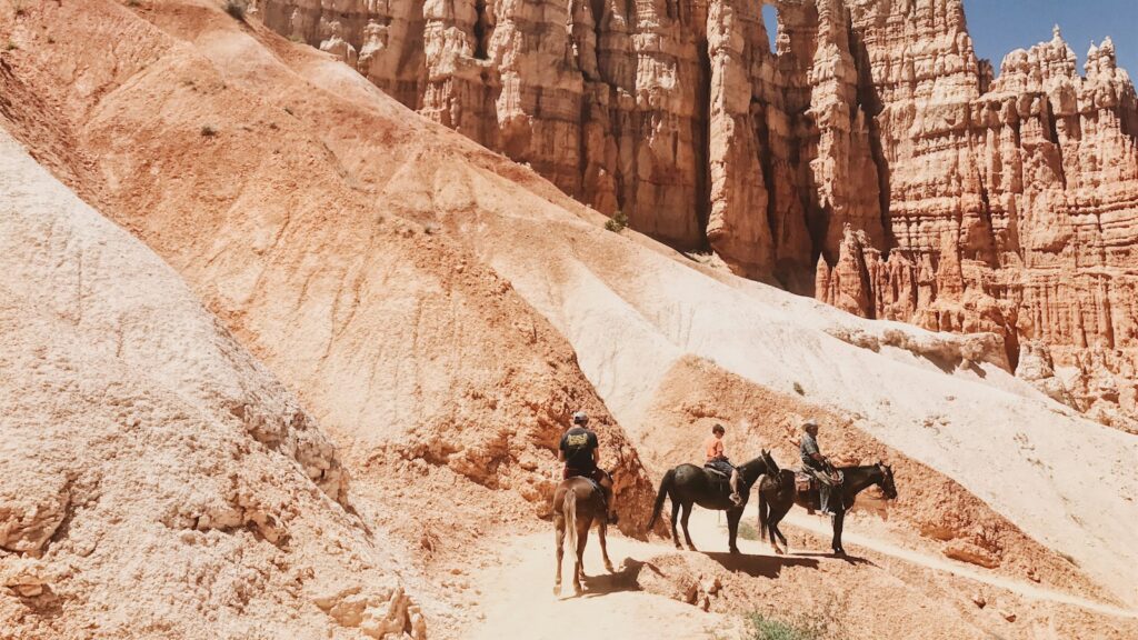 people riding on black and brown donkeys