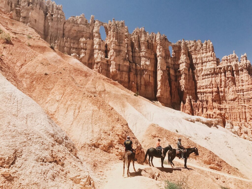 People riding on black and brown horses