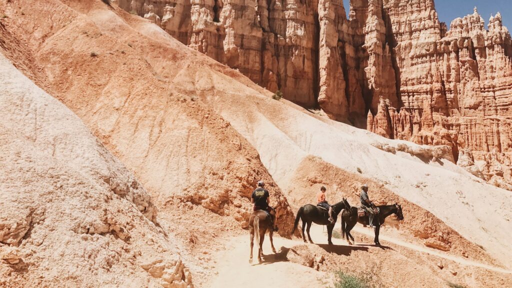 people riding on black and brown donkeys