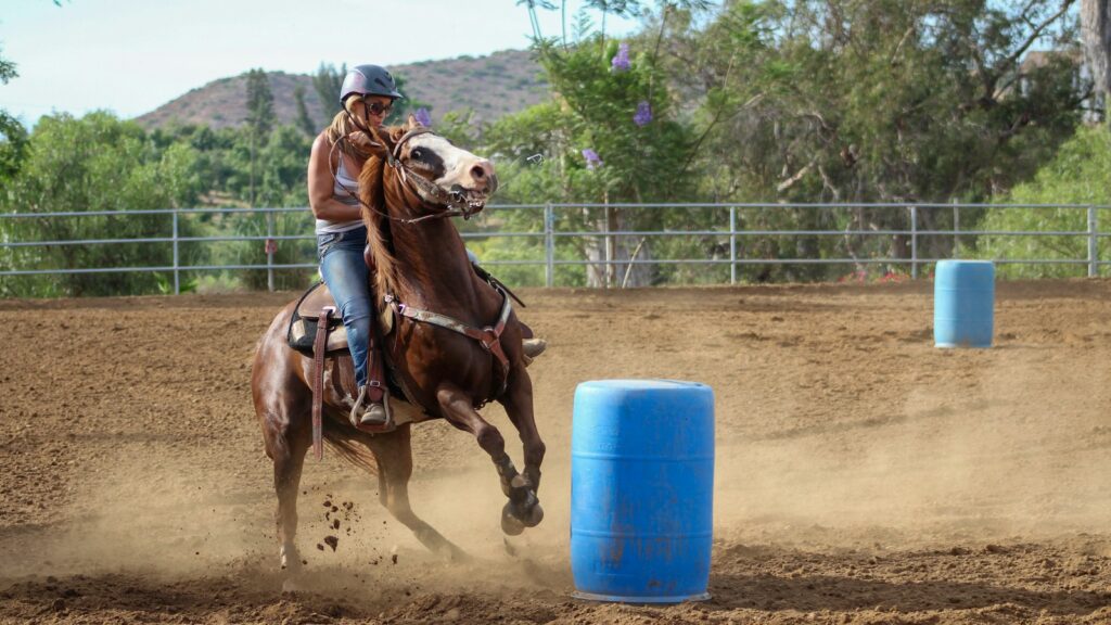 woman riding on brown horse