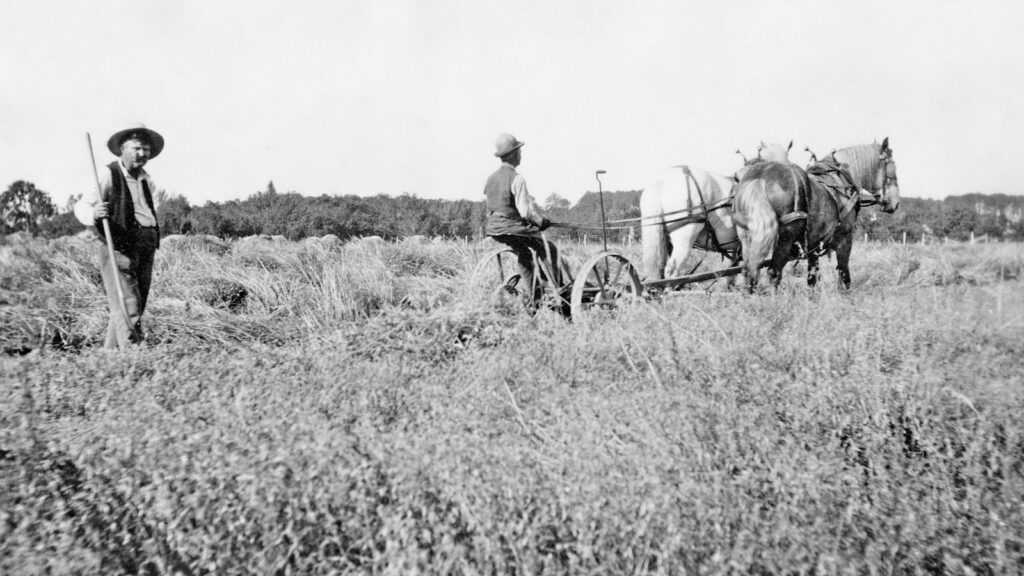 a man farming with horse