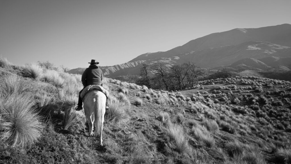 Man riding on horse up hill