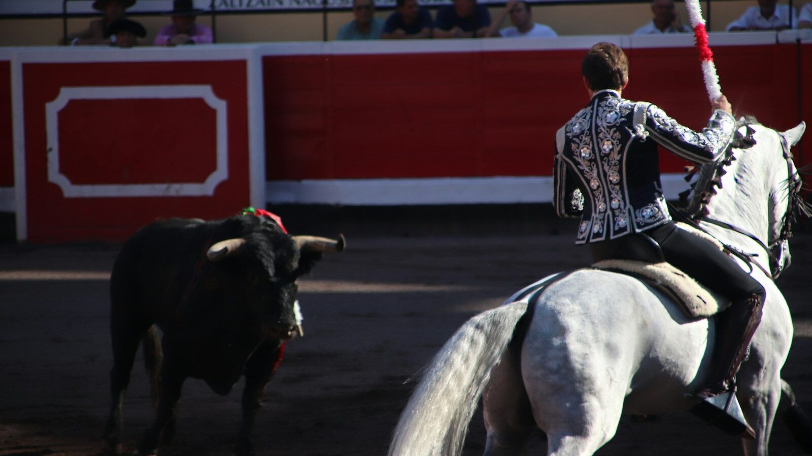man in black and white long sleeve shirt riding white horse