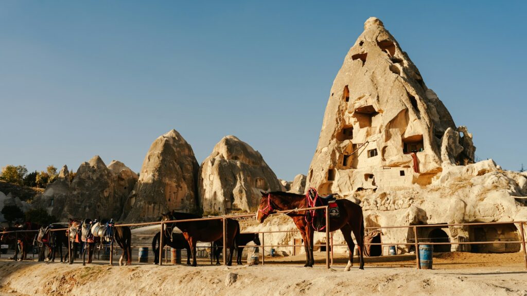 a group of horses in front of a rock formation