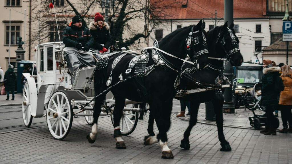 couple riding on the carriage