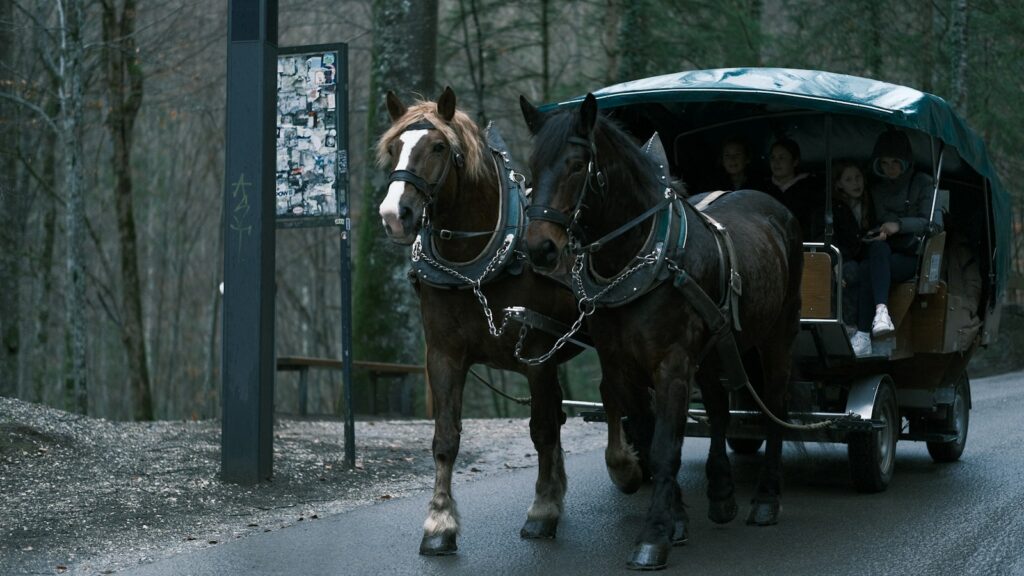 a couple of horses pulling a carriage down a road
