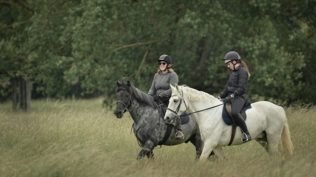 man in black leather jacket riding white horse during daytime