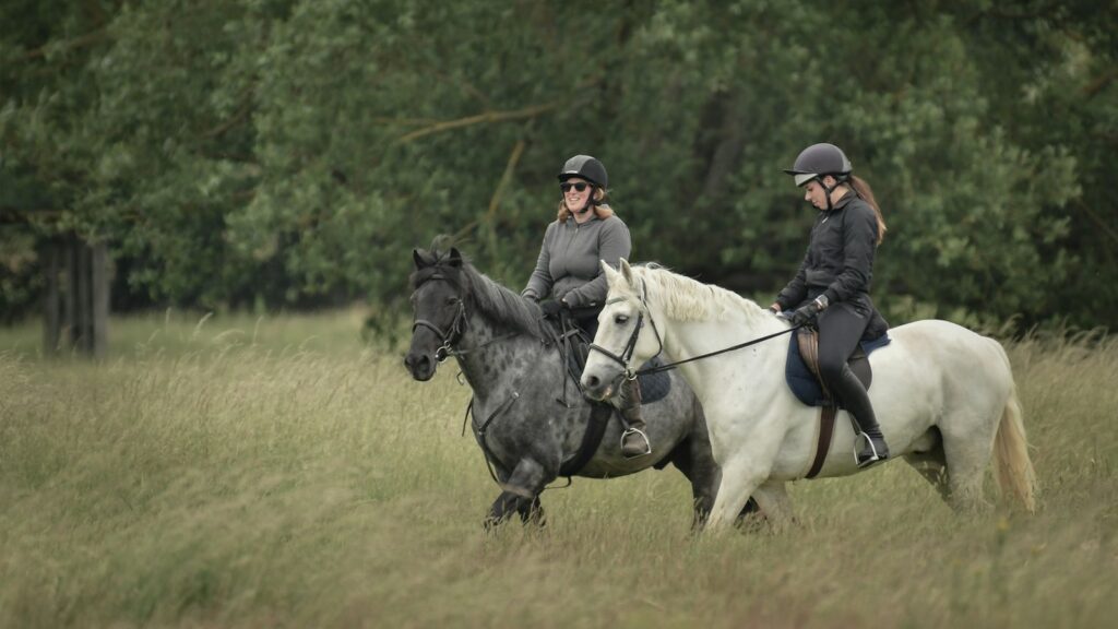 man in black leather jacket riding white horse during daytime