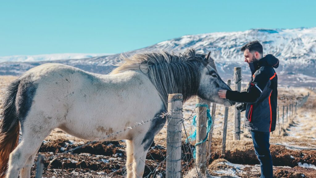person holding white horse near brown wooden fence under white sky