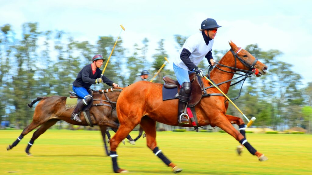 2 men riding horses on green grass field during daytime