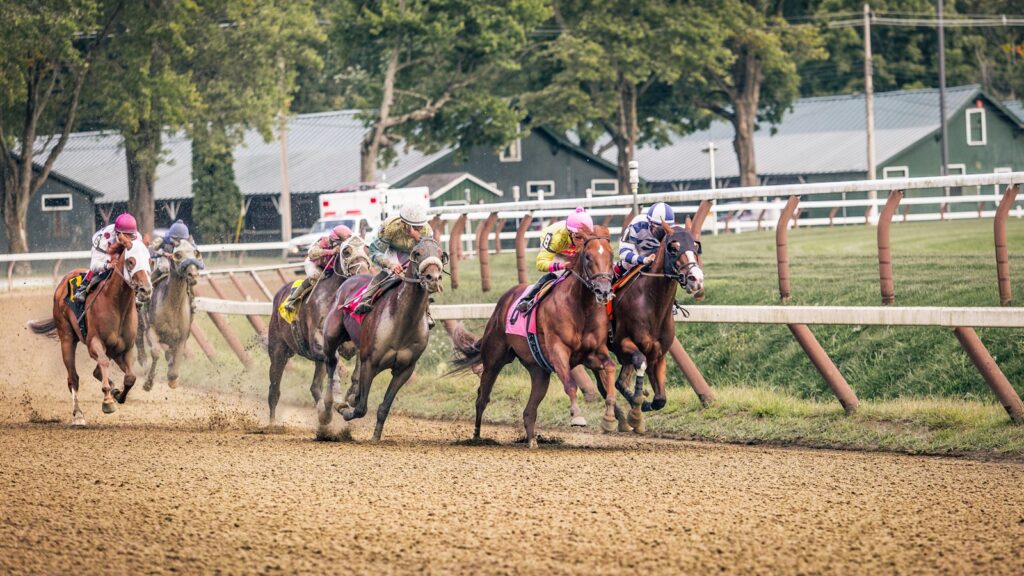people riding horses on brown field during daytime