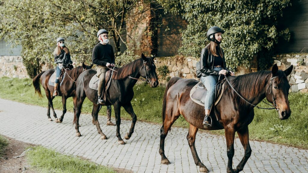 man riding horse on green grass field during daytime