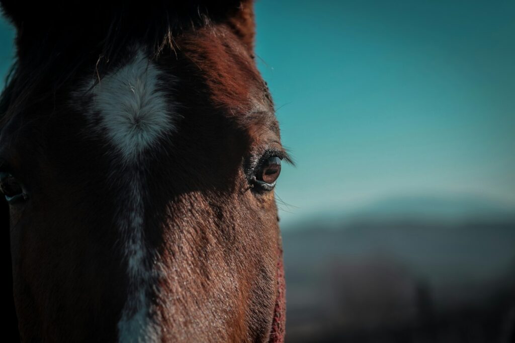 Brown horse with white eyes