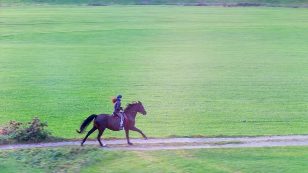 brown horse running on green grass field during daytime