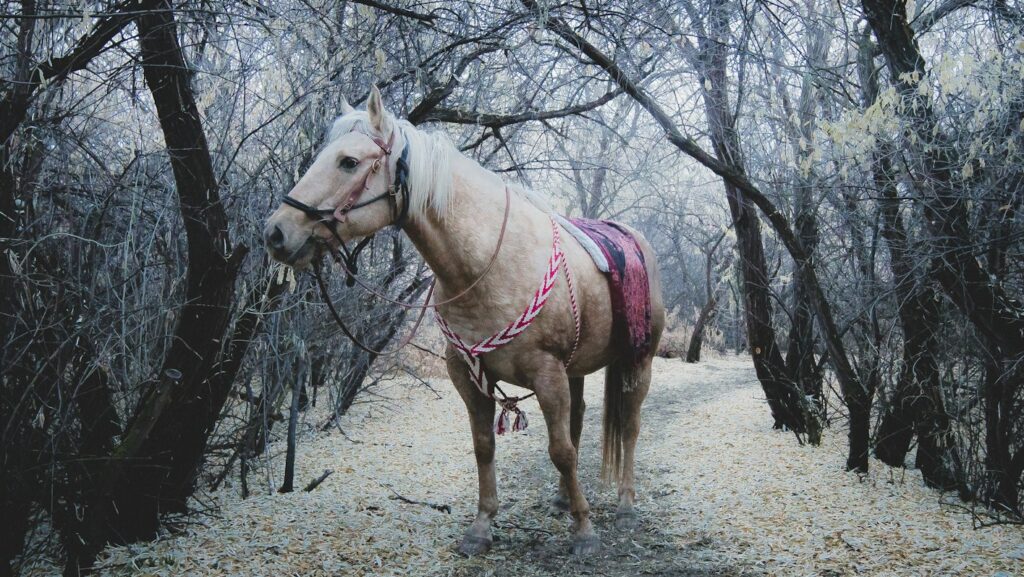 white horse standing between trees during daytime