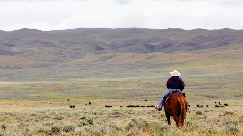 woman riding horse