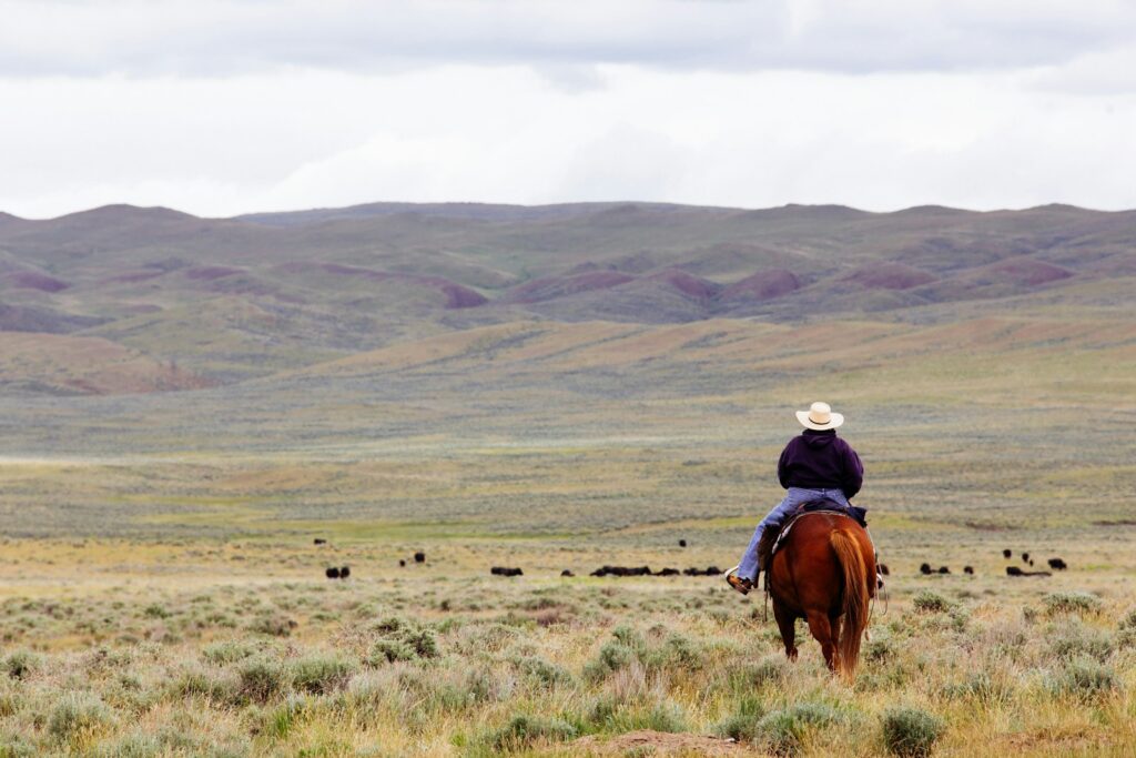 Woman riding horse