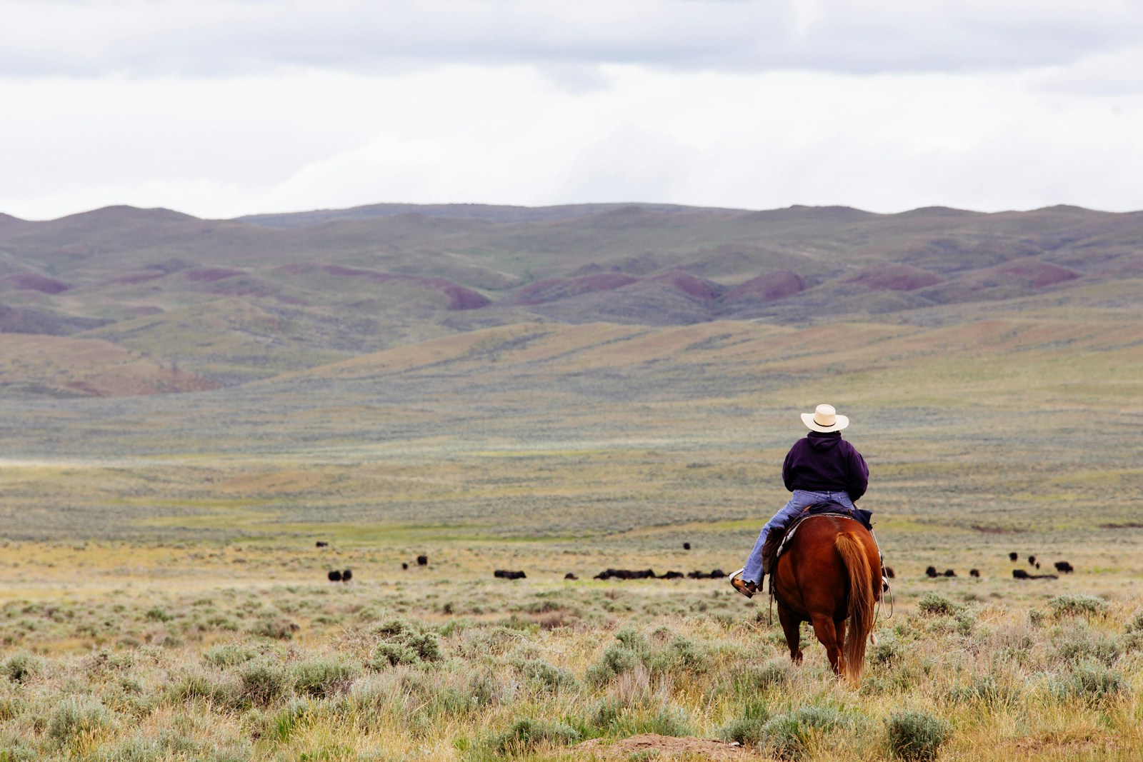 Woman riding horse