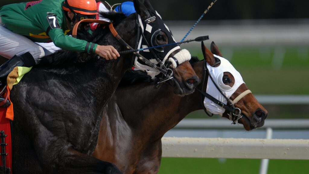 man riding horse