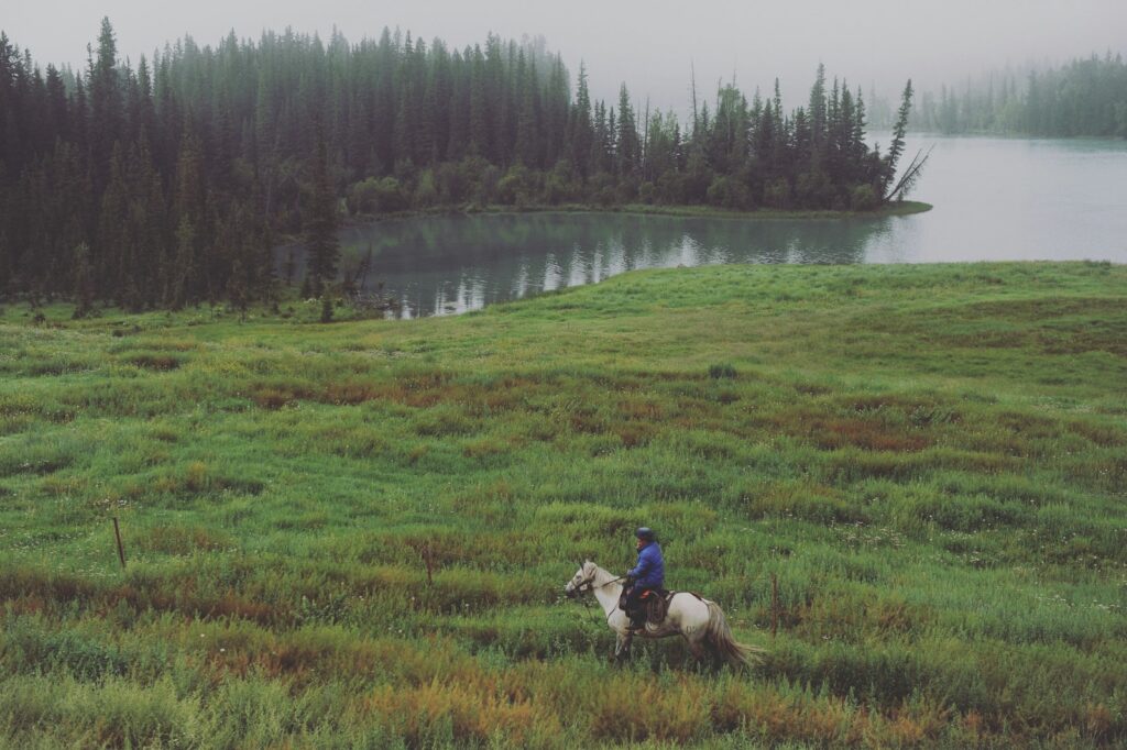 Person riding horse on open field near body of water during daytime