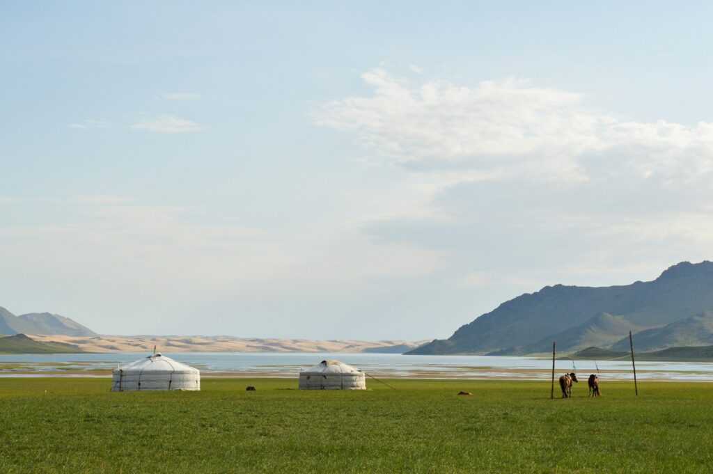 White and brown house on green grass field near body of water during daytime