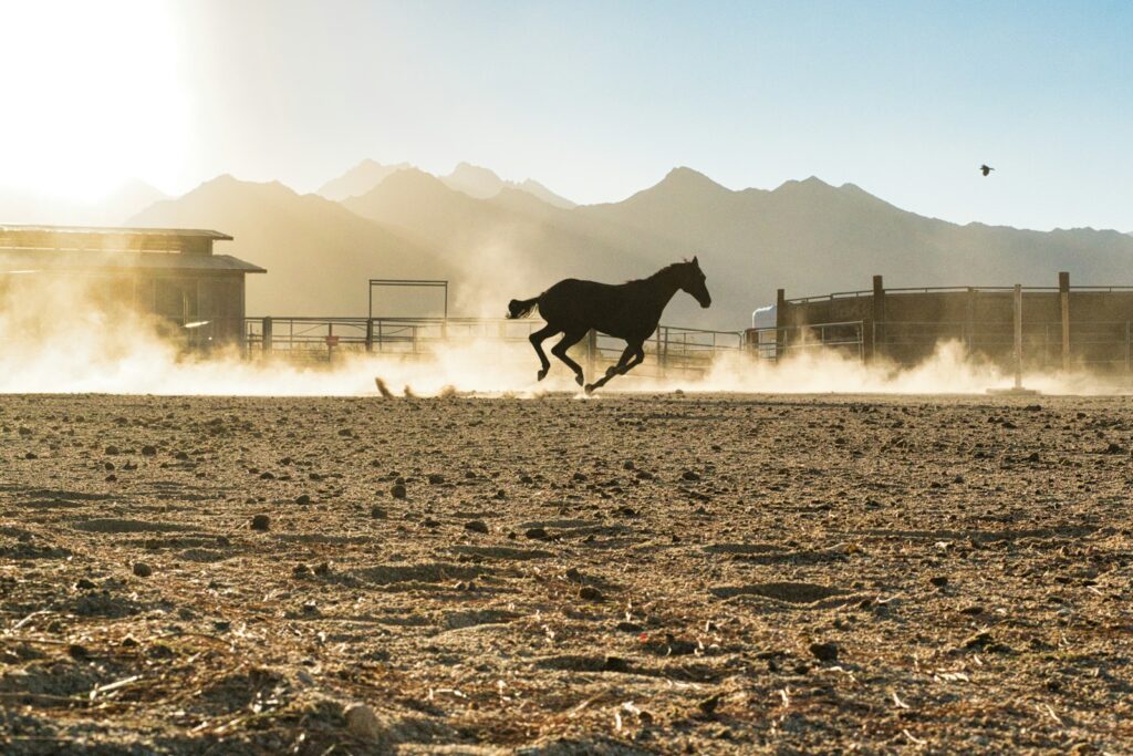 A horse running across a ranch dirt field with mountains in the background