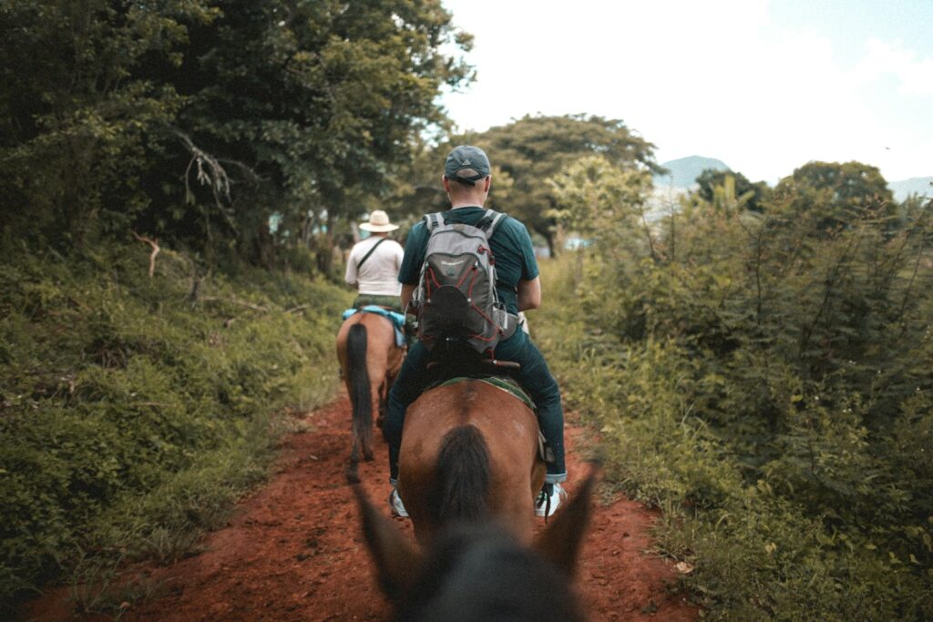 man riding brown horse at the trail during daytime