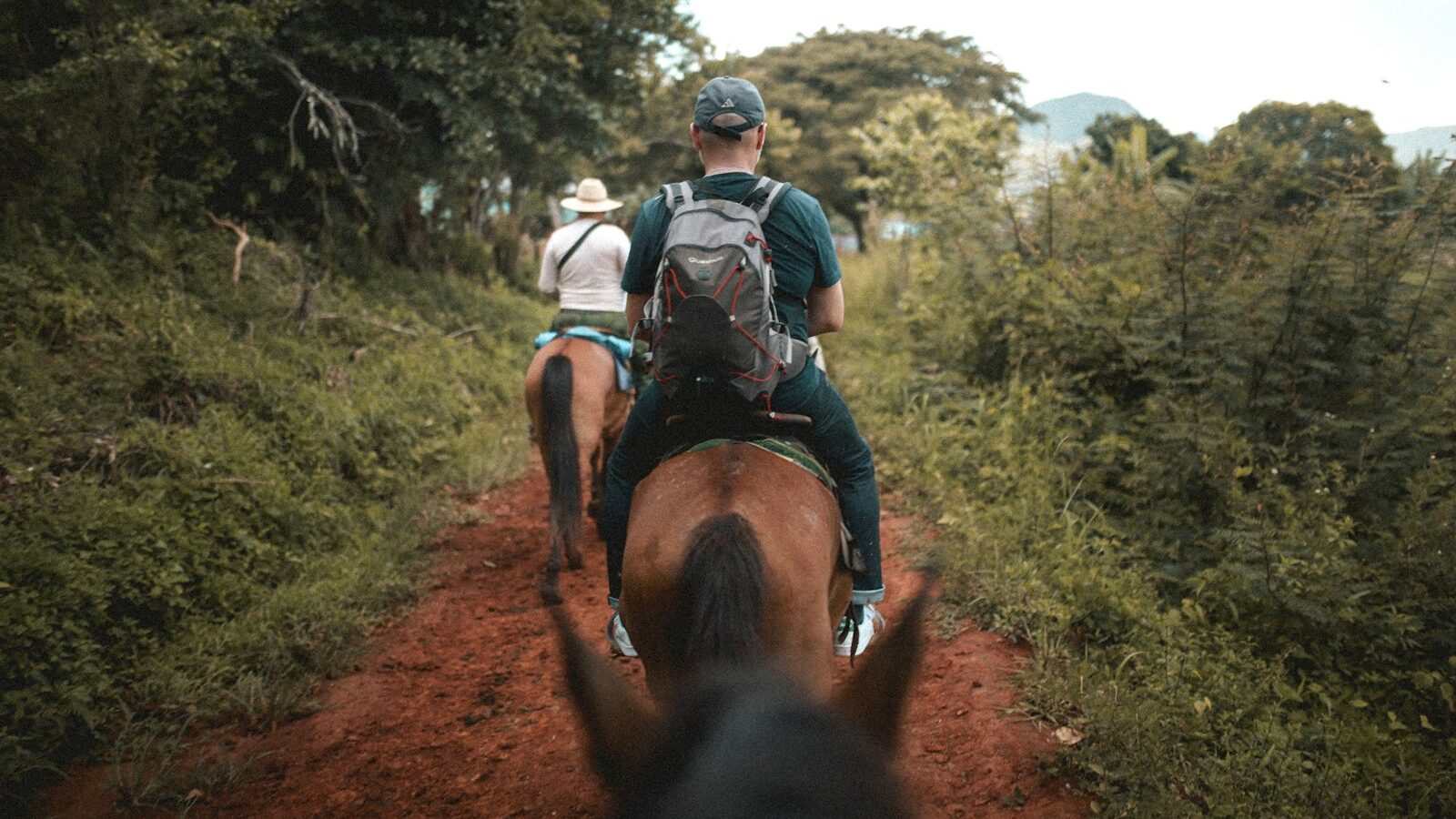 man in blue and white shirt riding brown horse during daytime