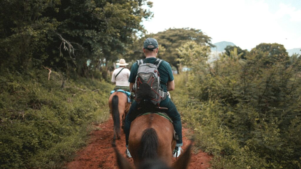 man in blue and white shirt riding brown horse during daytime