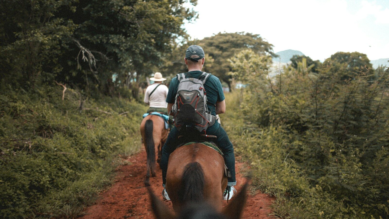 man in blue and white shirt riding brown horse during daytime