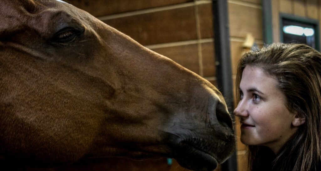 Woman standing in front of brown horse