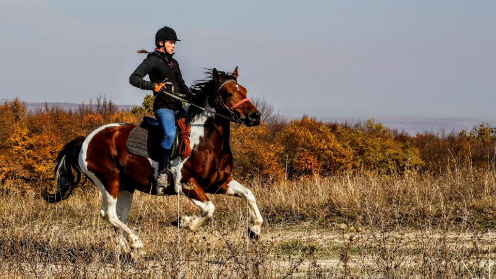 person riding on horse